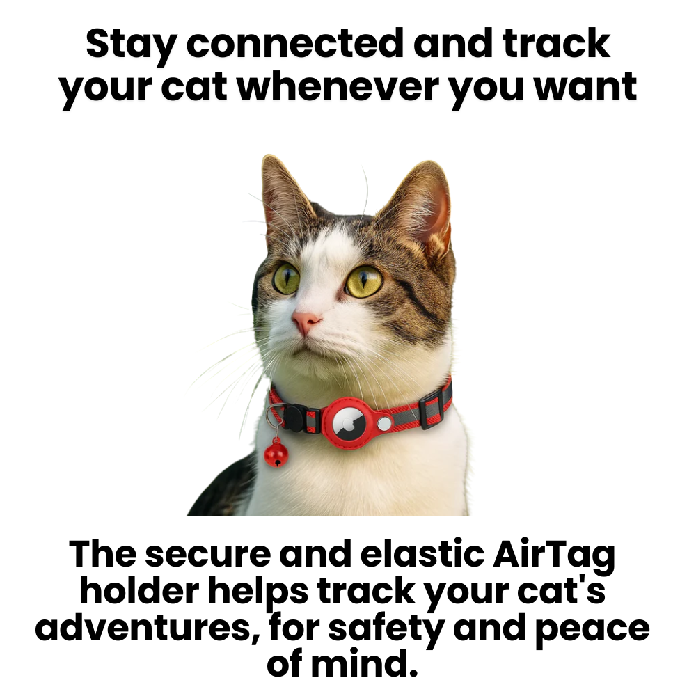 Pet GPS Tracker Collar for Cats