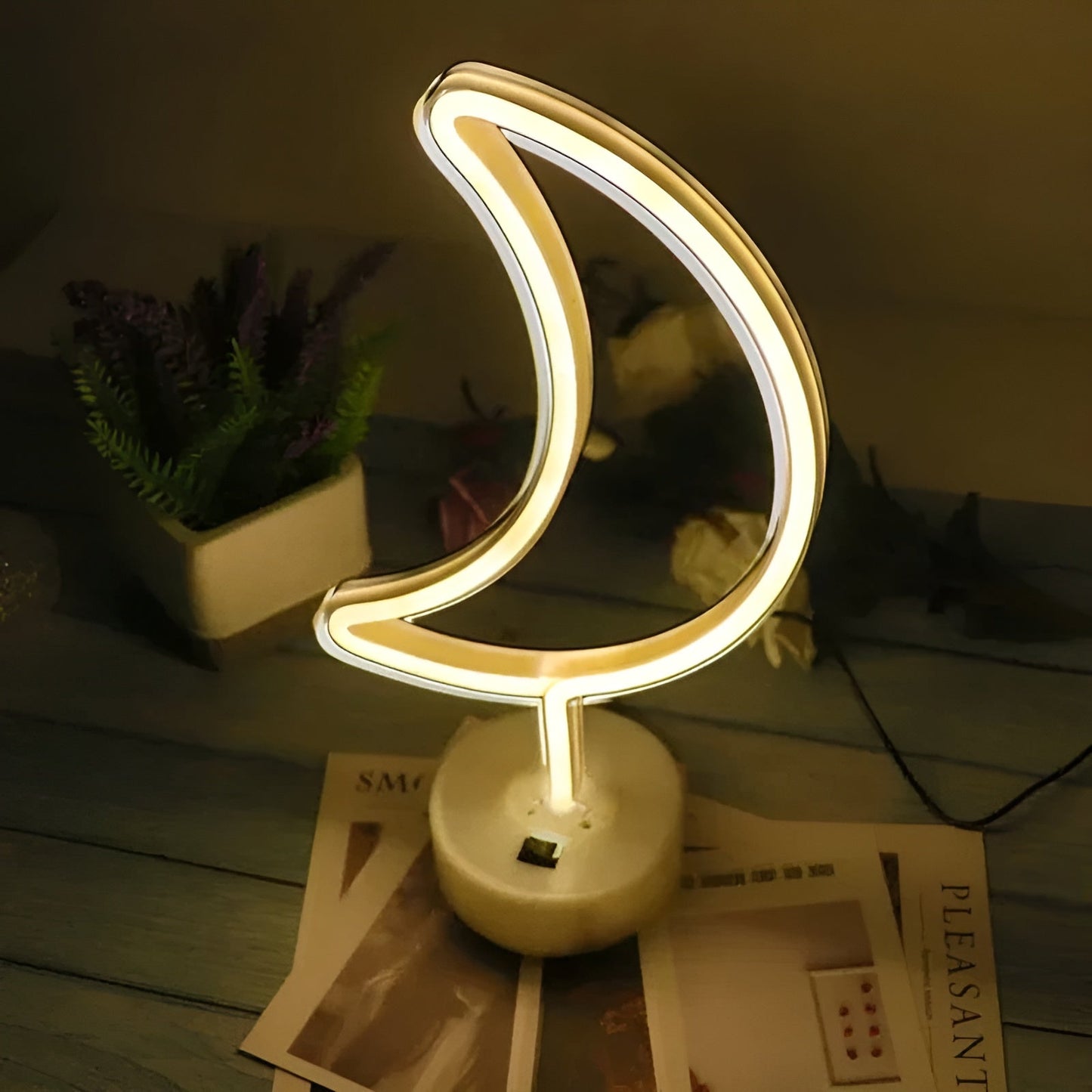 Bright Colorful Indoor Neon Lamp