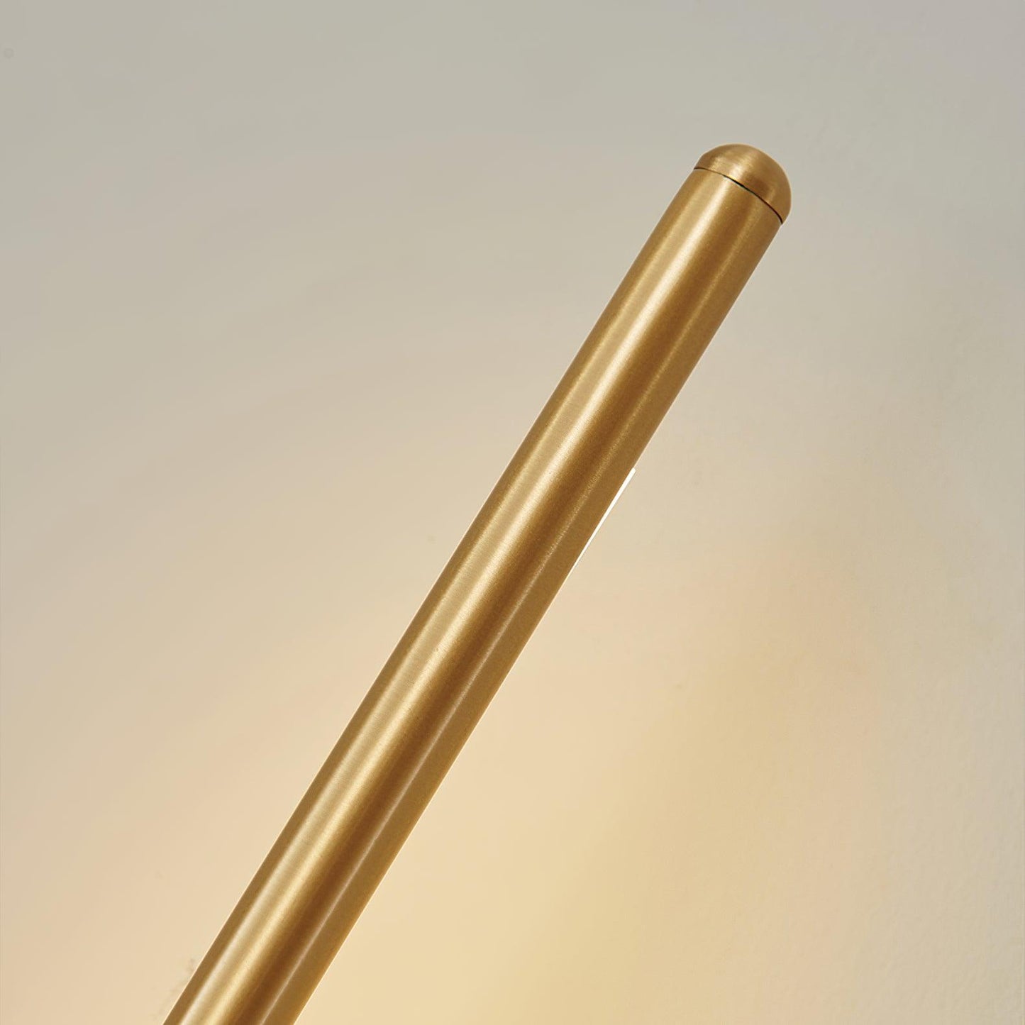 Slim LED Metal Wall Light Sconce