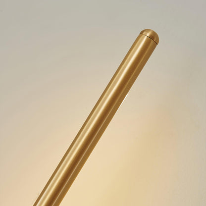 Slim LED Metal Wall Light Sconce