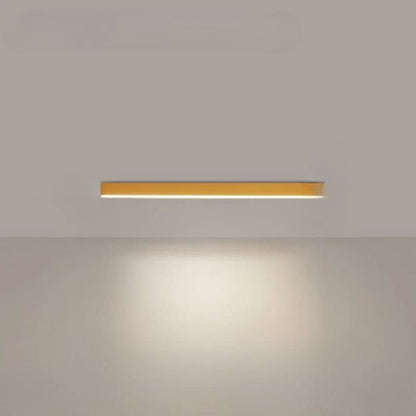 Bright Aluminum LED Ceiling Light Fixture