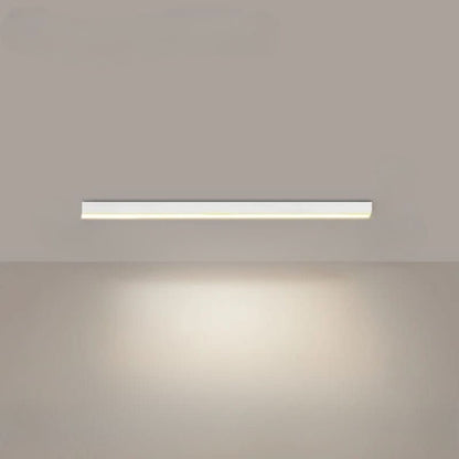 Bright Aluminum LED Ceiling Light Fixture