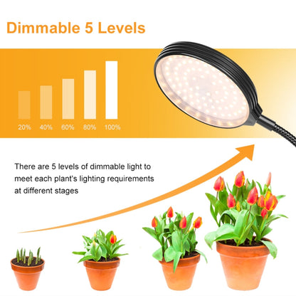 Indoor LED Grow Light - USB Powered, Water Resistant
