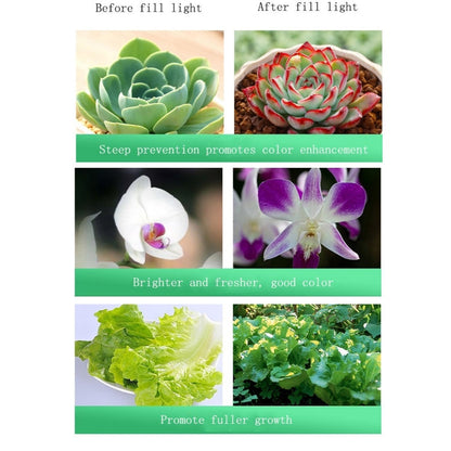 35W High Power 150mm LED Grow Light for Plants