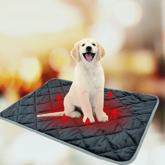 Warm Pet Heating Mat - Cofik