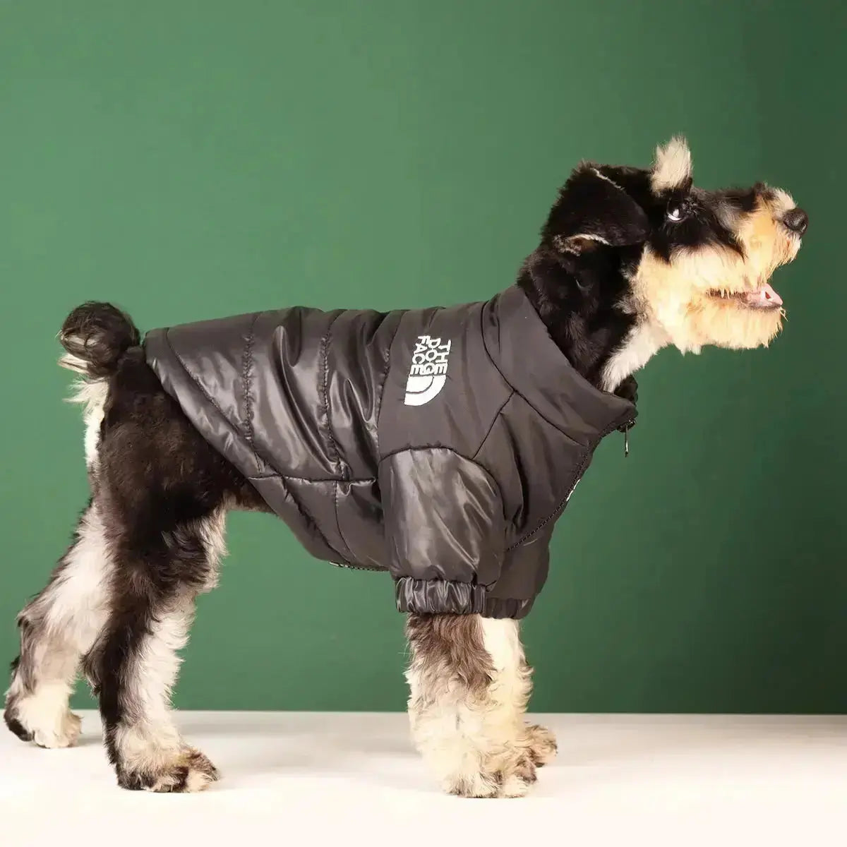 Cofik | Fun Pet Face Hoodie Jacket