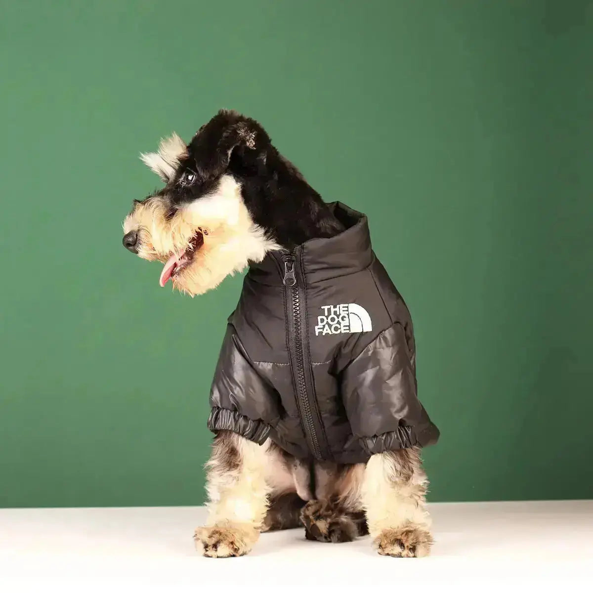 Cofik | Fun Pet Face Hoodie Jacket