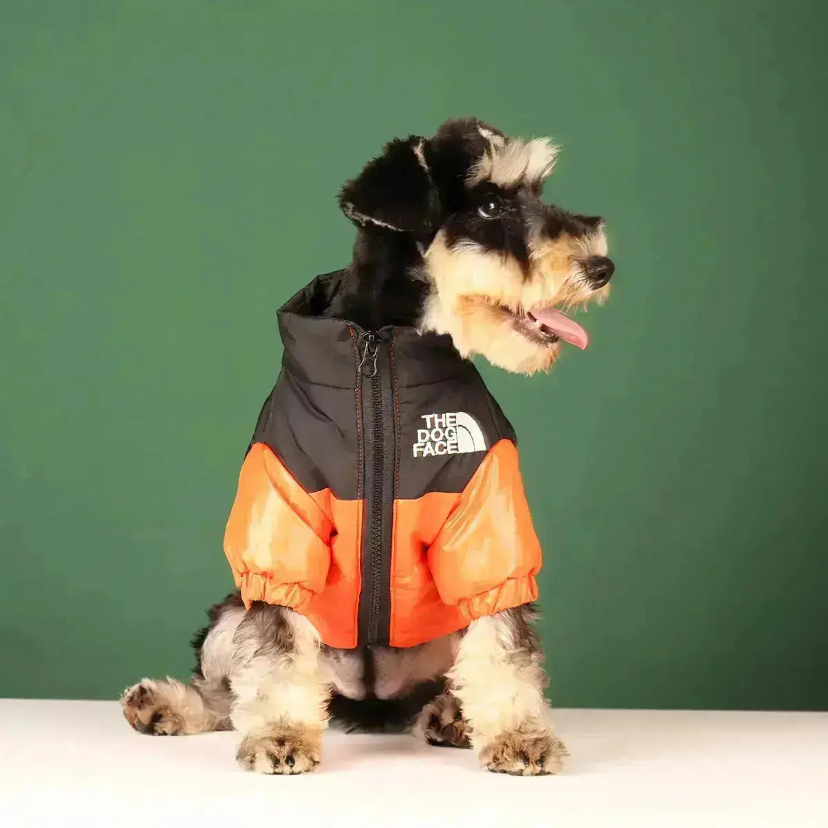 Cofik | Fun Pet Face Hoodie Jacket