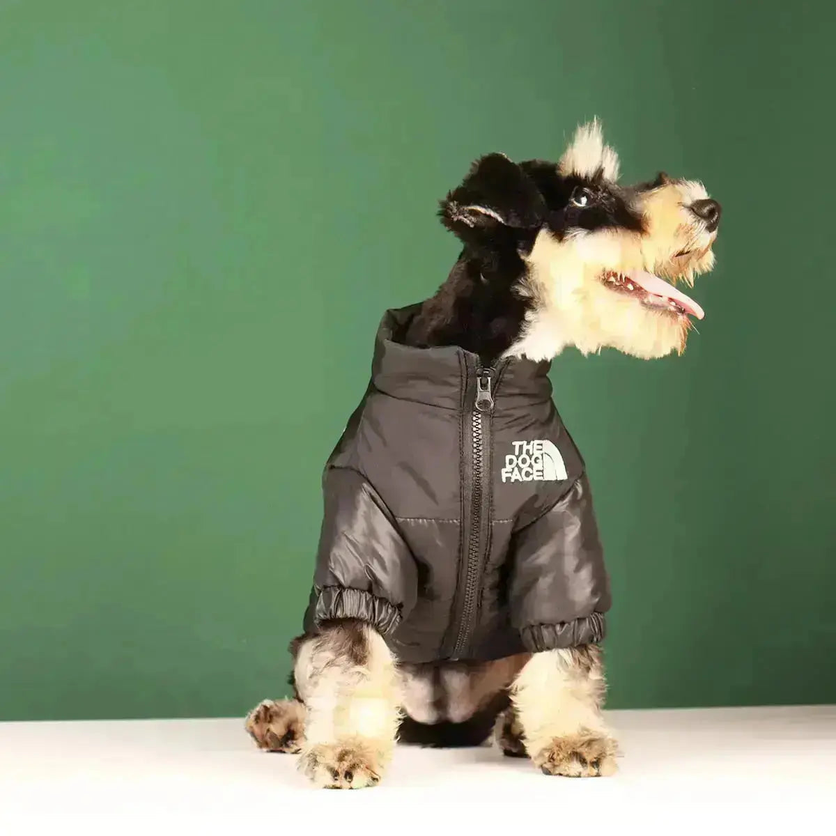 Cofik | Fun Pet Face Hoodie Jacket