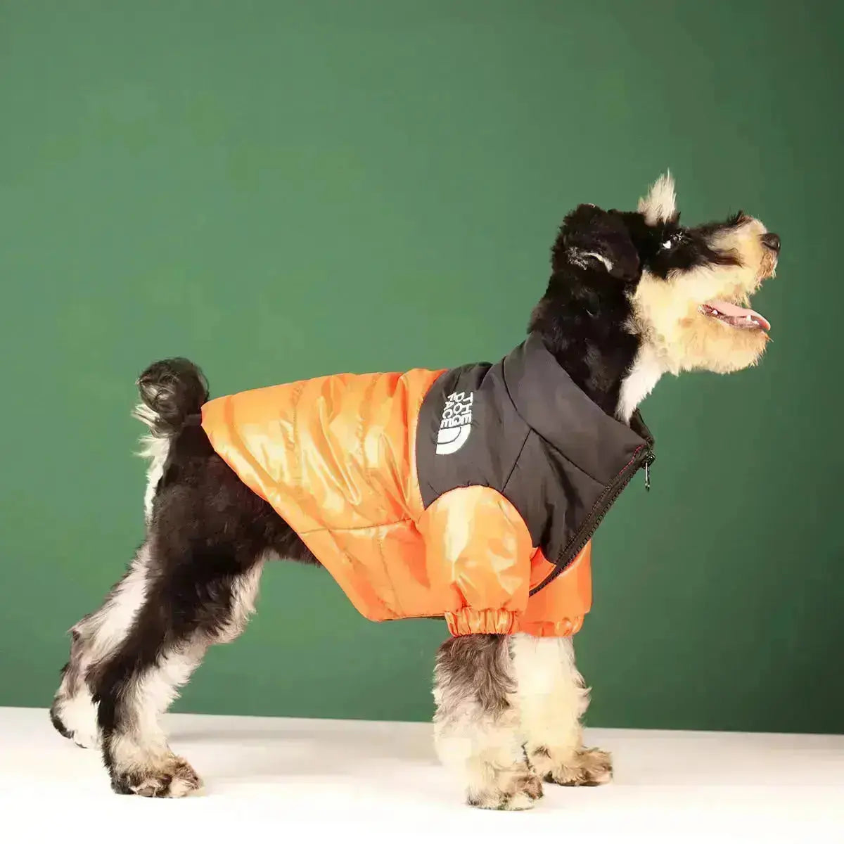 Cofik | Fun Pet Face Hoodie Jacket