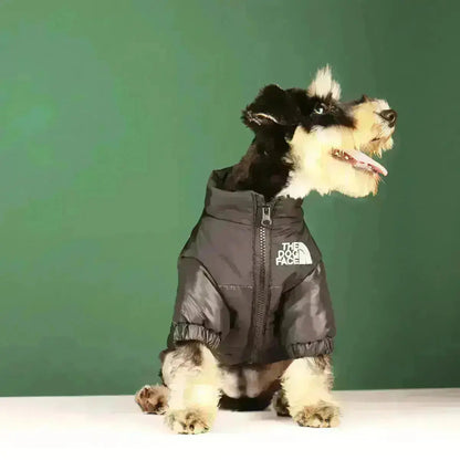 Cofik | Fun Pet Face Hoodie Jacket - Cofik