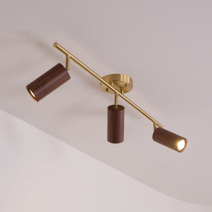 Modern Adjustable Gold Ceiling Light Fixture