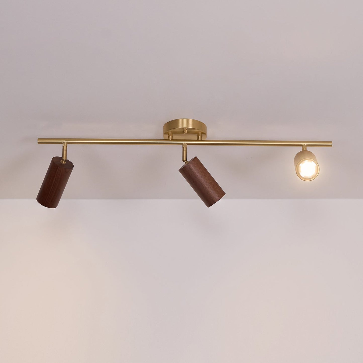 Modern Adjustable Gold Ceiling Light Fixture