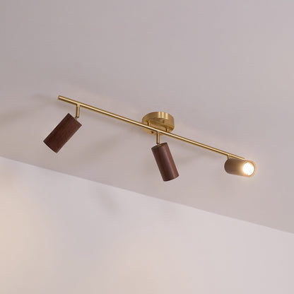 Modern Adjustable Gold Ceiling Light Fixture