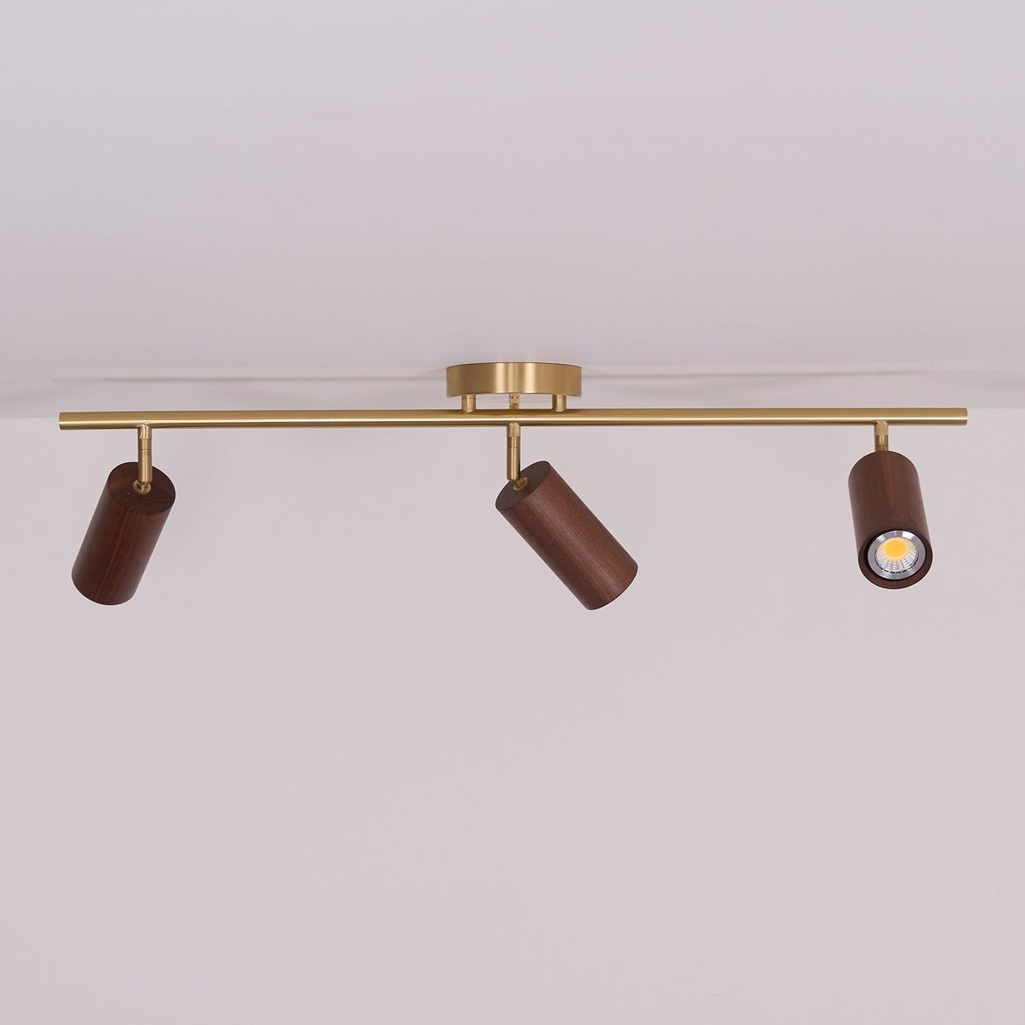 Modern Adjustable Gold Ceiling Light Fixture