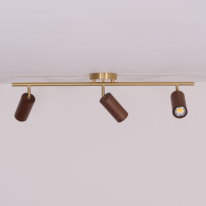 Modern Adjustable Gold Ceiling Light Fixture
