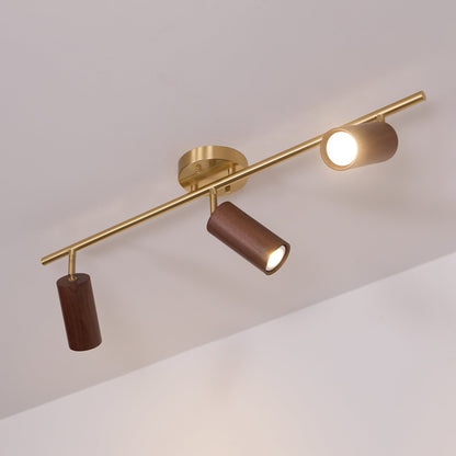 Modern Adjustable Gold Ceiling Light Fixture
