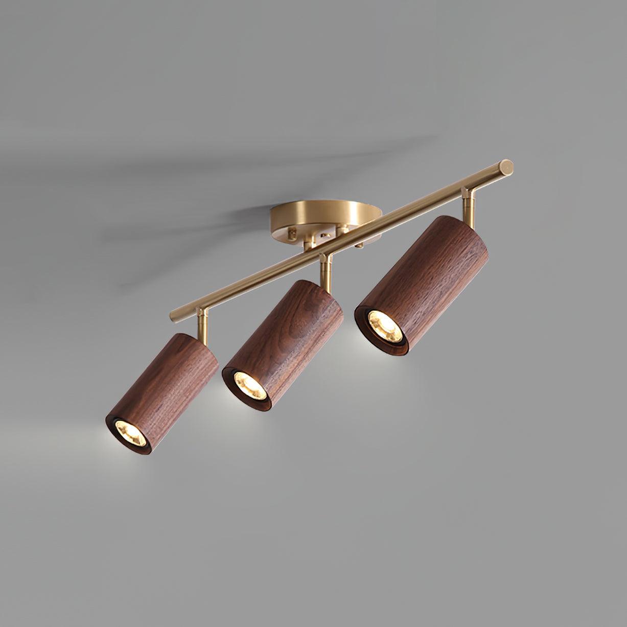 Modern Adjustable Gold Ceiling Light Fixture
