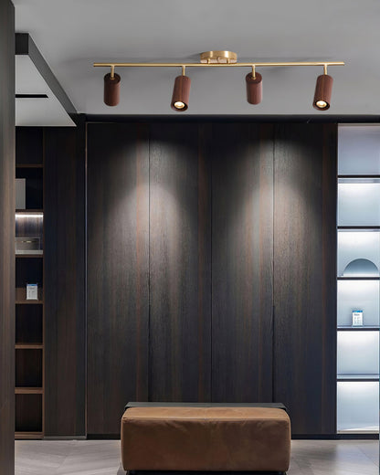 Modern Adjustable Gold Ceiling Light Fixture
