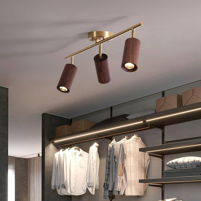 Modern Adjustable Gold Ceiling Light Fixture