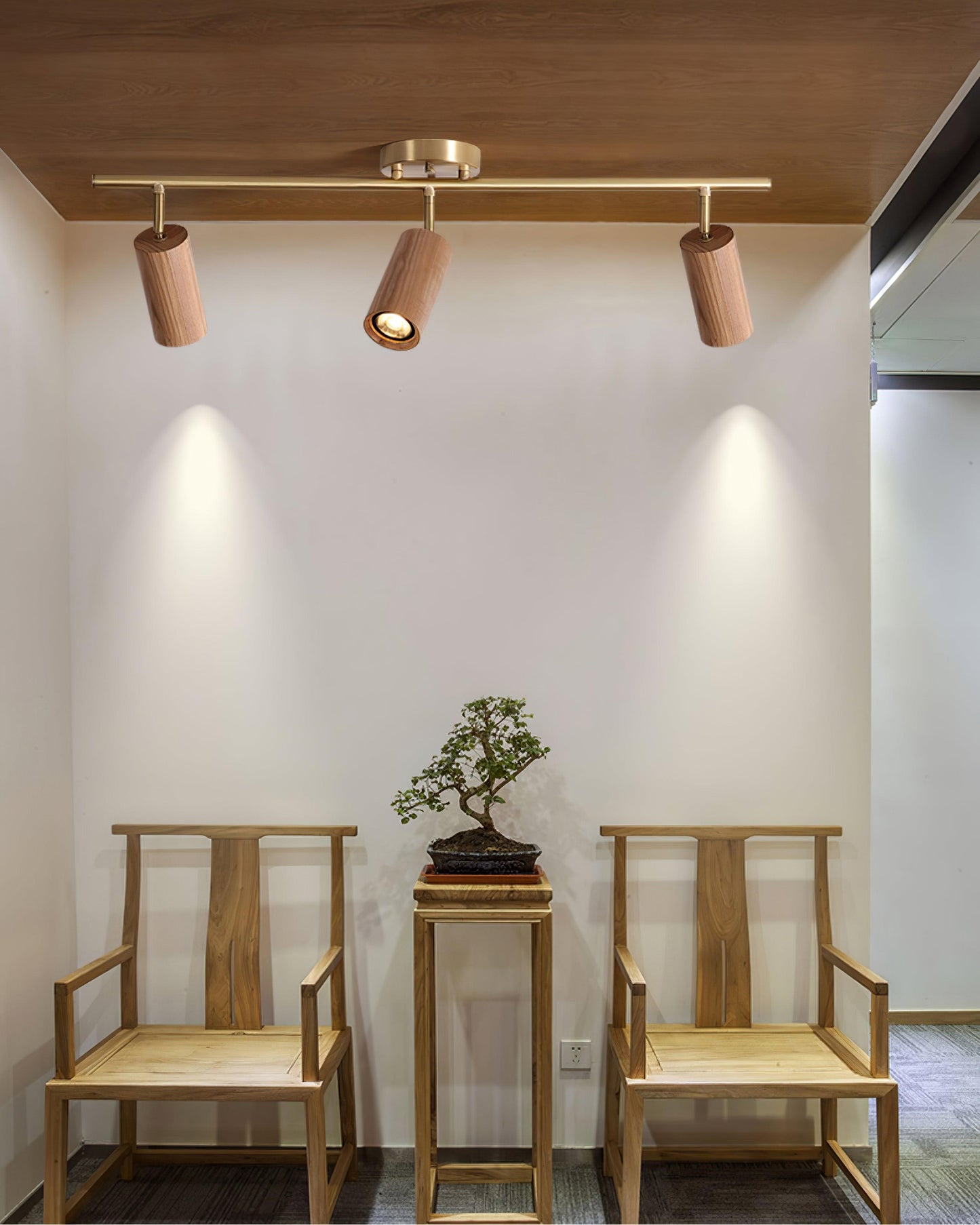 Modern Adjustable Gold Ceiling Light Fixture
