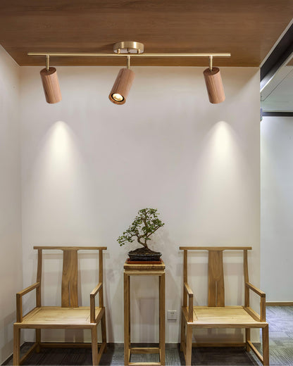 Modern Adjustable Gold Ceiling Light Fixture