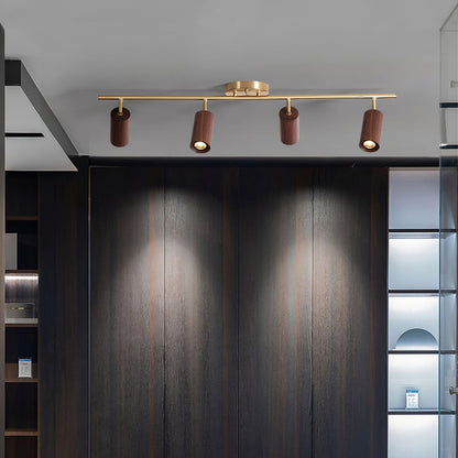 Modern Adjustable Gold Ceiling Light Fixture
