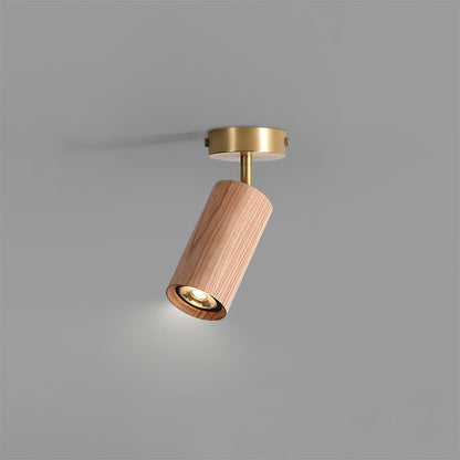 Modern Adjustable Gold Ceiling Light Fixture