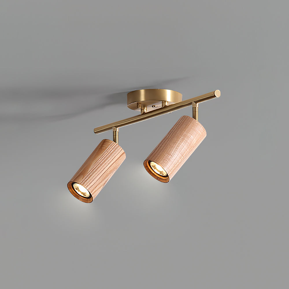 Modern Adjustable Gold Ceiling Light Fixture