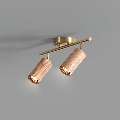 Modern Adjustable Gold Ceiling Light Fixture