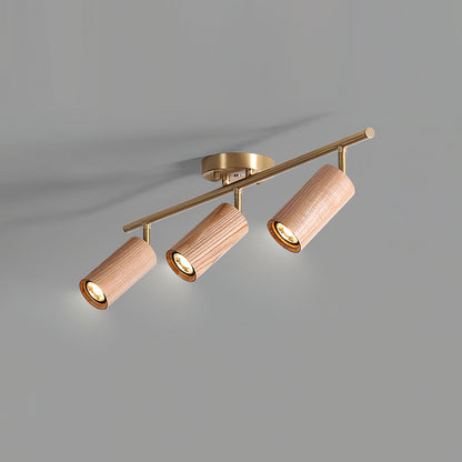 Modern Adjustable Gold Ceiling Light Fixture