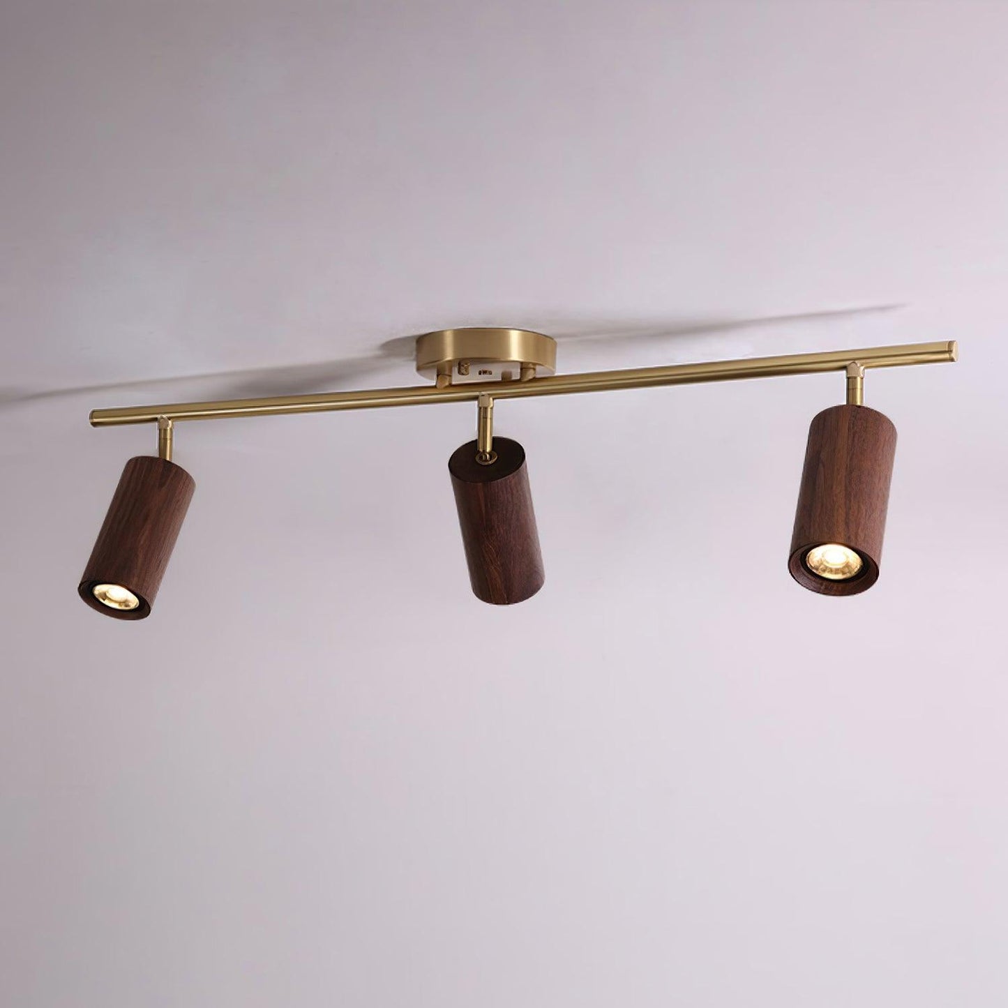 Modern Adjustable Gold Ceiling Light Fixture