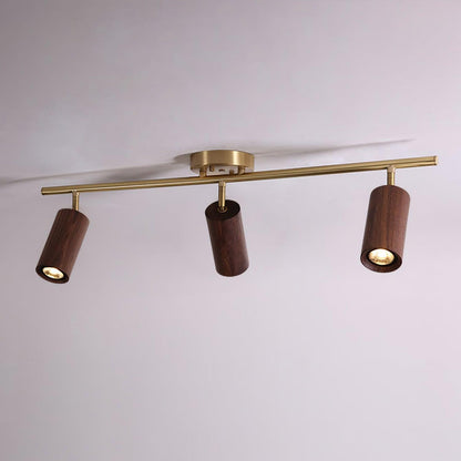 Modern Adjustable Gold Ceiling Light Fixture