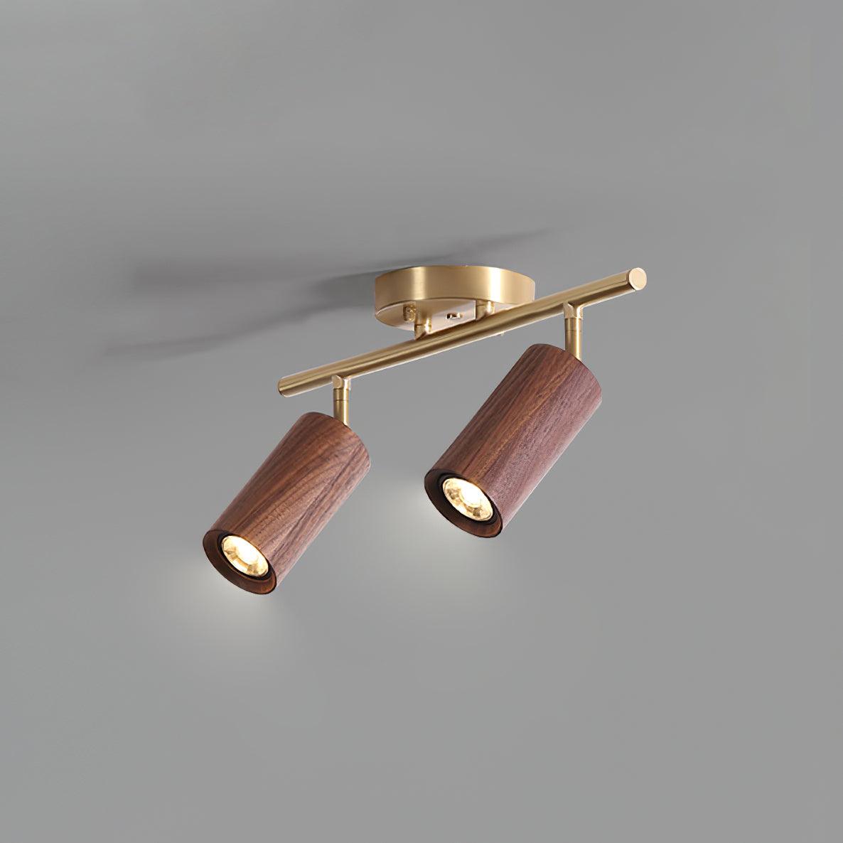 Modern Adjustable Gold Ceiling Light Fixture