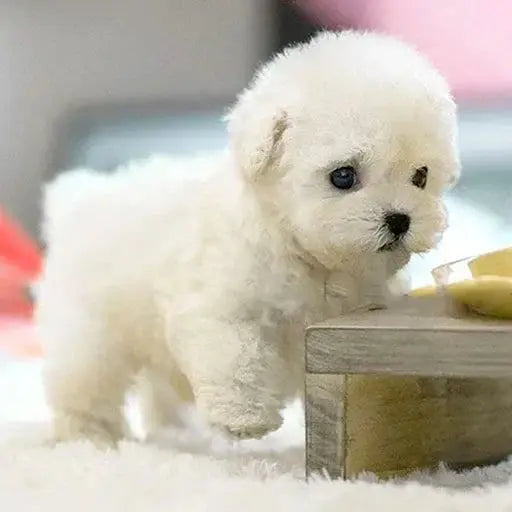 Cuddly Plush Dog Companion Toy