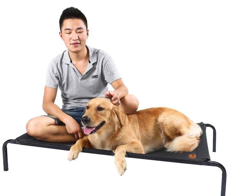 Elevated Mesh Platform Bed Frame