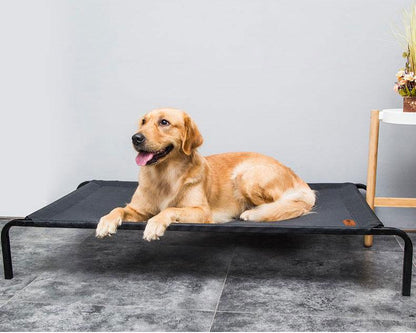Elevated Mesh Platform Bed Frame