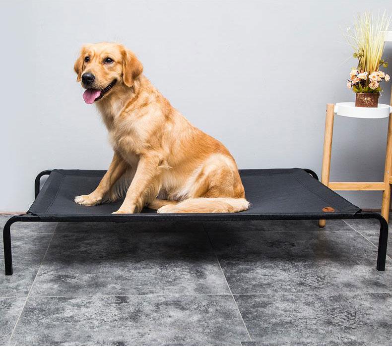 Elevated Mesh Platform Bed Frame - Cofik