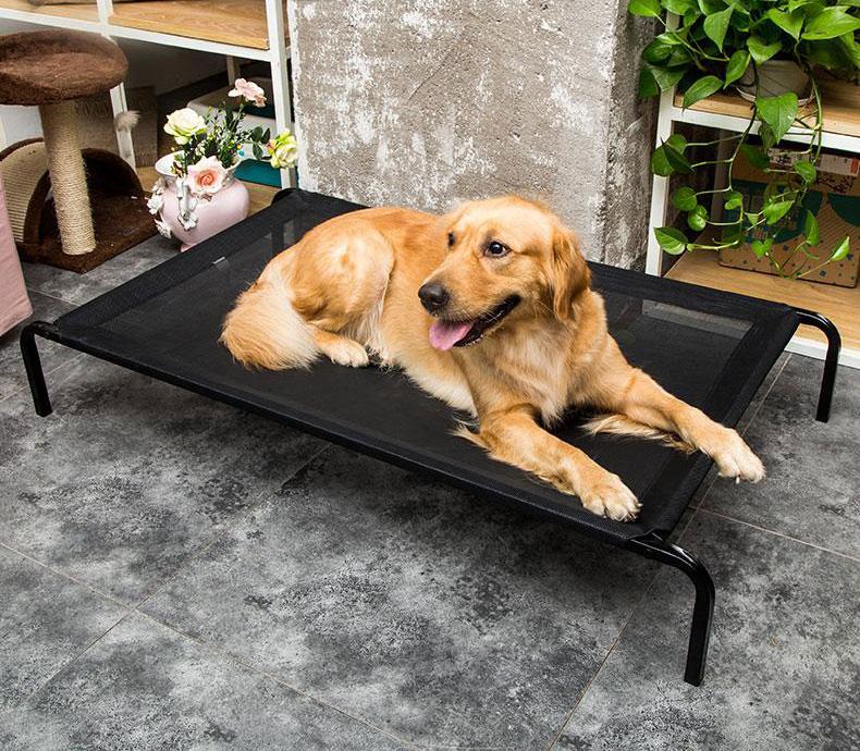 Elevated Mesh Platform Bed Frame