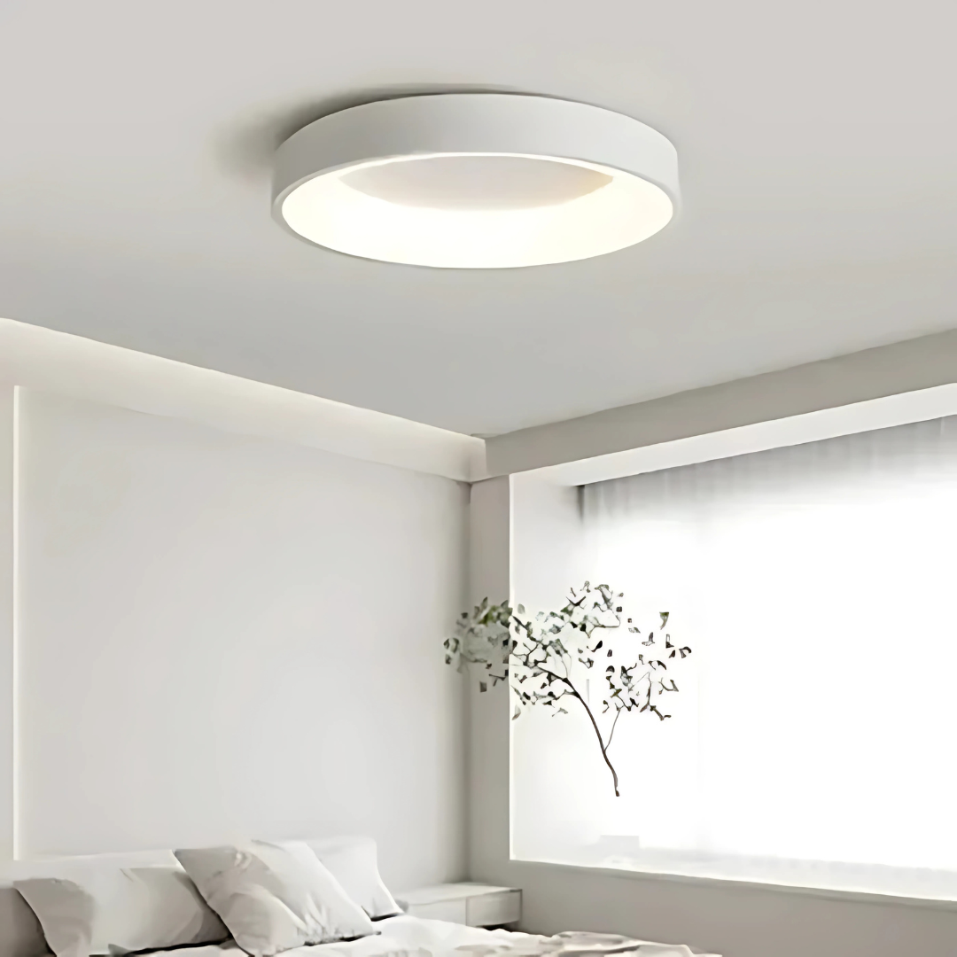 Contemporary Round LED Ceiling Light Fixture