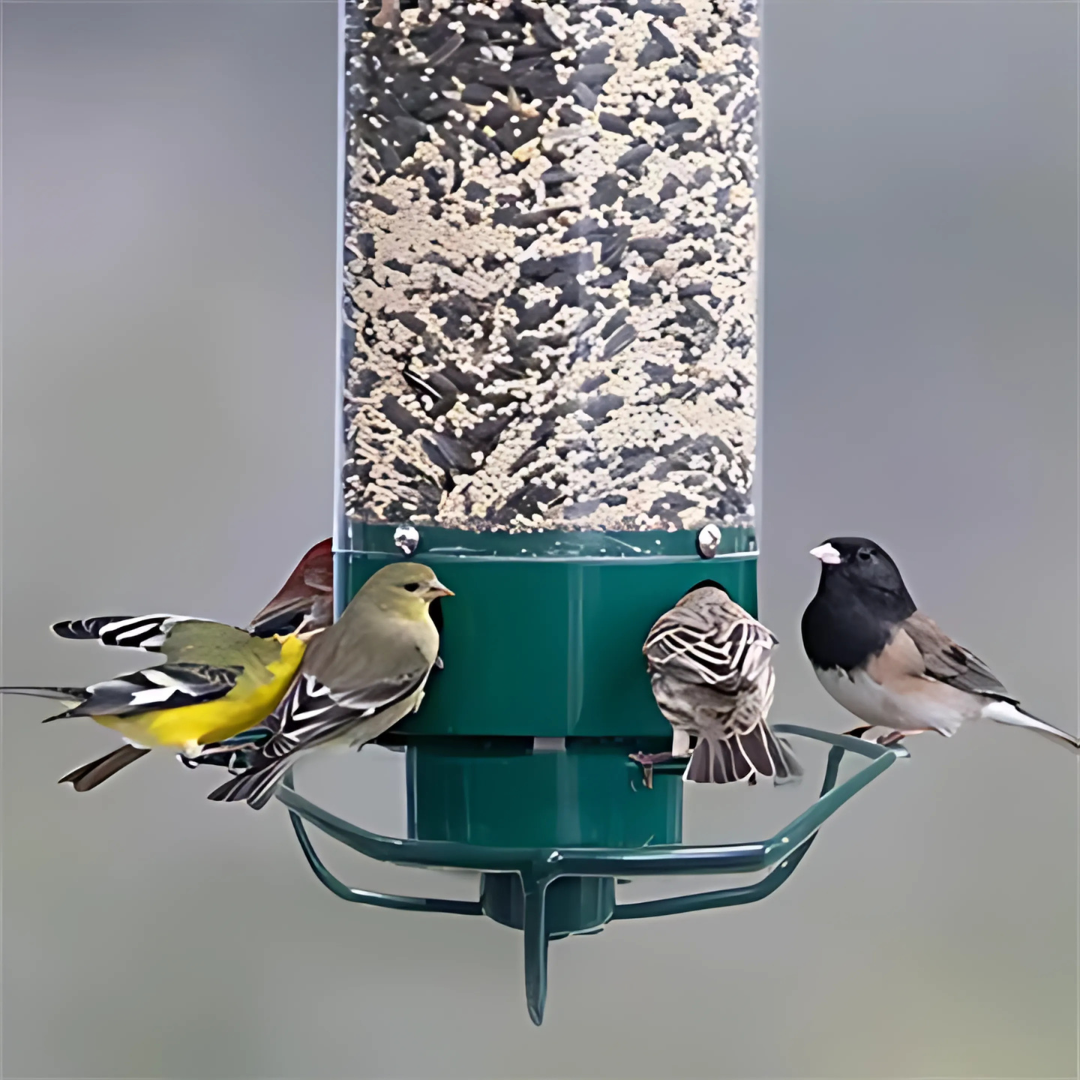 Wildlife Proof Garden Hanging Bird Feeder