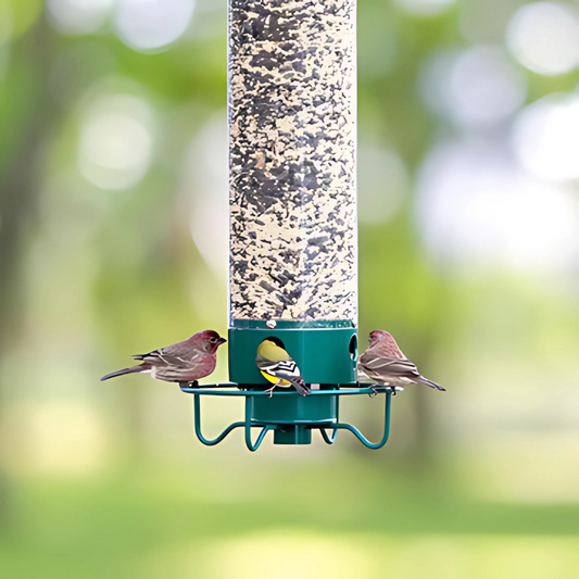 Wildlife Proof Garden Hanging Bird Feeder - Cofik