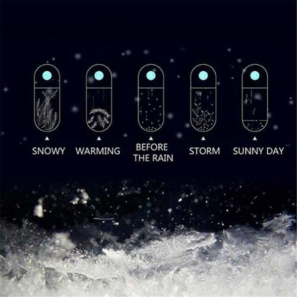 Classic Storm Glass Weather Predictor Bottle with Wood Base
