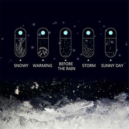 Classic Storm Glass Weather Predictor Bottle with Wood Base