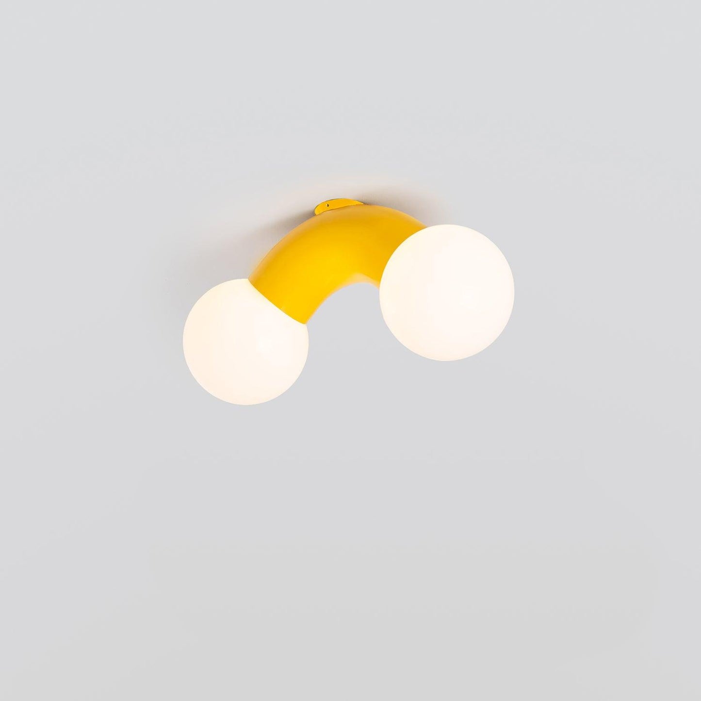 Elegant Mounted LED Wall Light