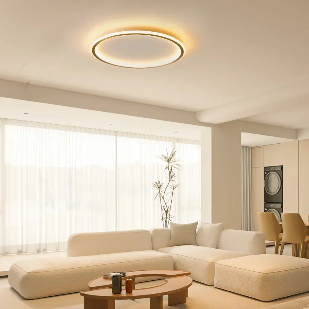 Modern Dimmable LED Pendant Ceiling Lamp
