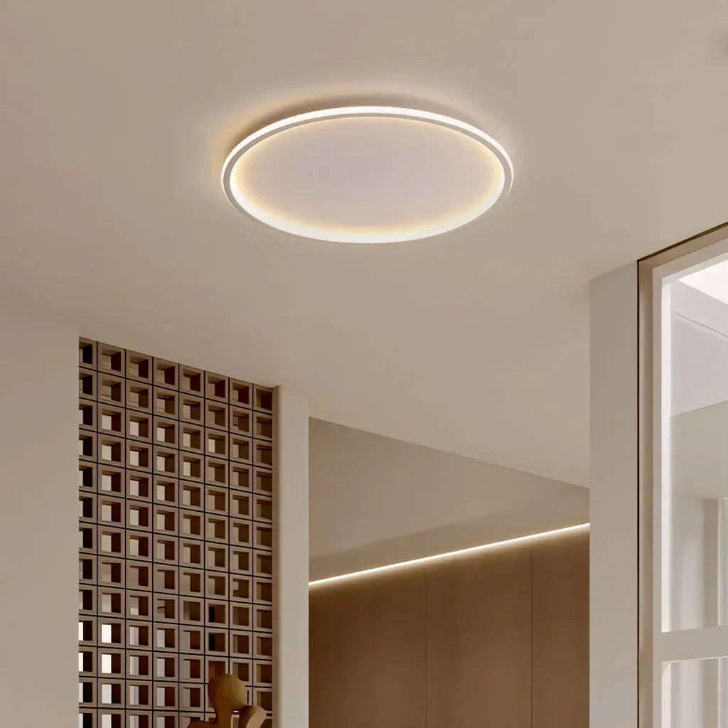 Modern Dimmable LED Pendant Ceiling Lamp