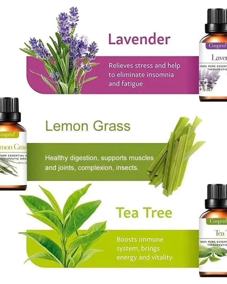 Natural Aromatherapy 12 Piece Essential Oil Kit