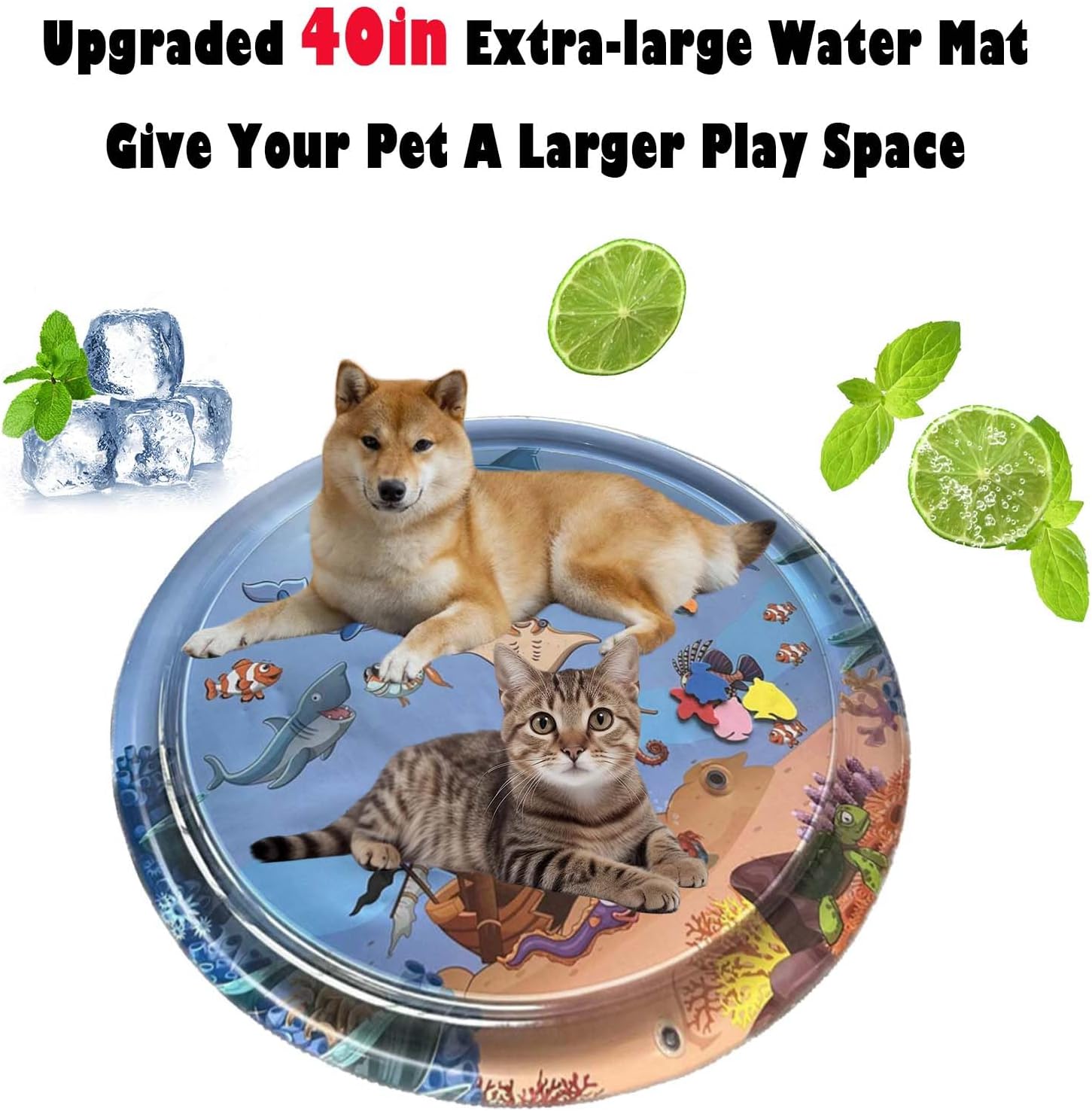 Fun Interactive Cat Toy - Cofik