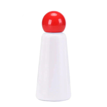 Insulated Thermal Water Bottle